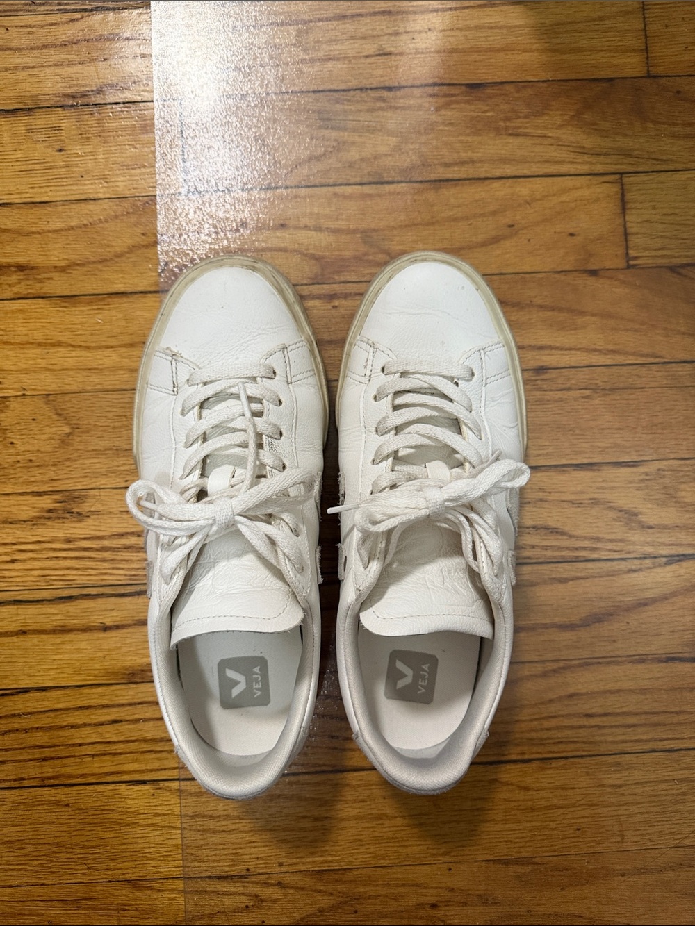 Veja sneakers